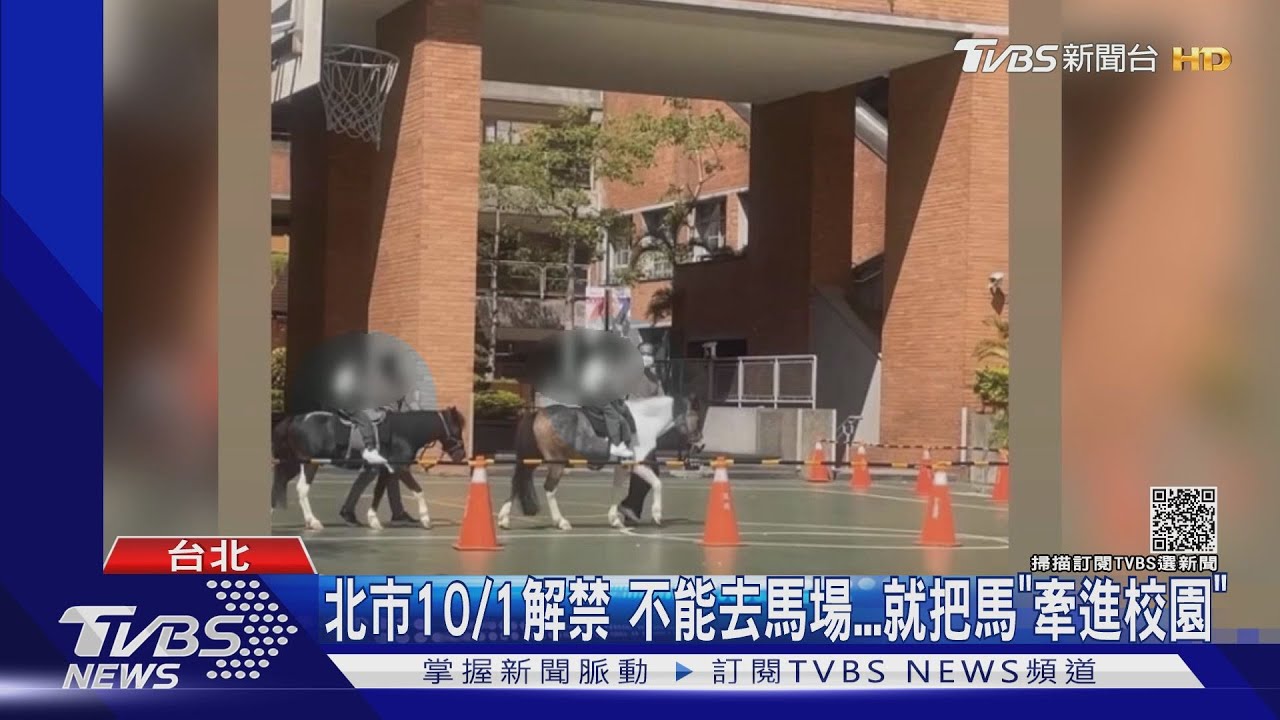 北市10/1解禁!不能去馬場 就把馬「牽進校園」