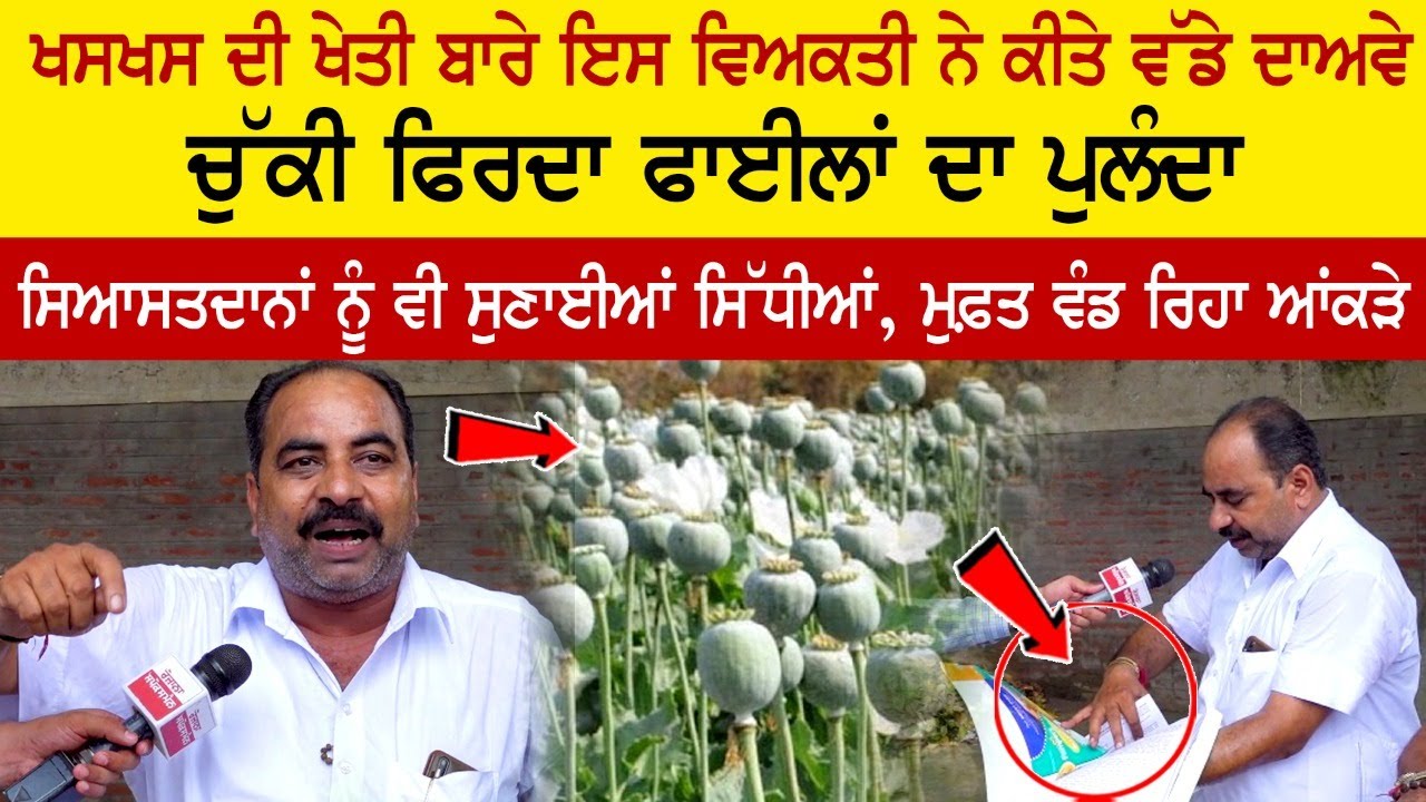 ਖਸਖਸ ਦੀ ਖੇਤੀ ਖਸਖਸ ਦੀ ਖੇਤੀ