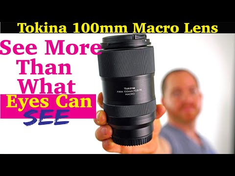 Video thumbnail for Video Review 2