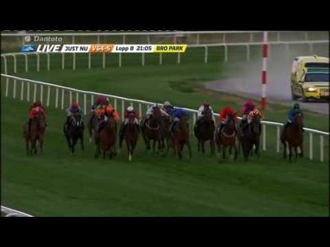 Dianalöping 2017/ockey Klubbens 2000m Guineas
