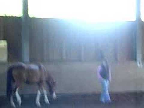 Joy | Laufenlassen Teil 4 | 02.05.2007