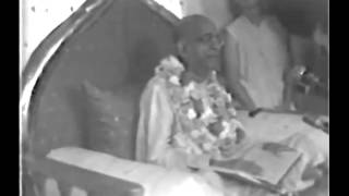 You Shall Never be Happy - PERFECT INSTRUCTION - Unless You Go Back to Godhead - Prabhupada 1048