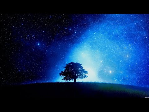 Wandering Souls - 300 Miles