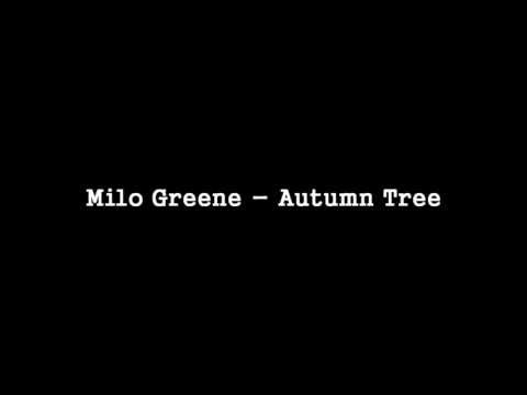 Milo Greene - Autumn Tree [HQ]