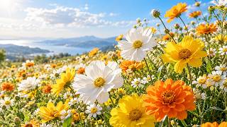 Peaceful Flower Meadow Ambience 🌼 | Gentle Breeze & Relaxing Nature Sounds