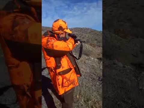 Zirve Hunting