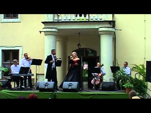 XI Letni Koncert Plenerowy. Dwór Zieleniewskich w Trzebini