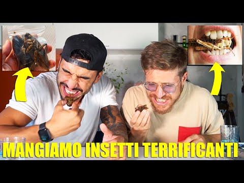 MANGIAMO GLI INSETTI PIÙ SCHIFOSI E TERRIFICANTI CHE ESISTANO - QUESTA VOLTA ABBIAMO V0MITATO TROPPO