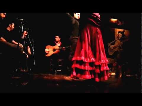 Flamenco Casa Patas Madrid
