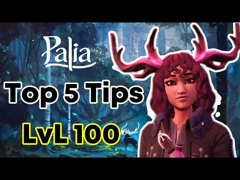 Top 5 Tips from a Level 100 in Palia