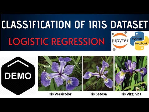 image-What is iris machine?