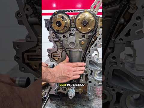 ¿Cómo instalar una CADENA DE DISTRIBUCIÓN? 🔧 Paso a paso