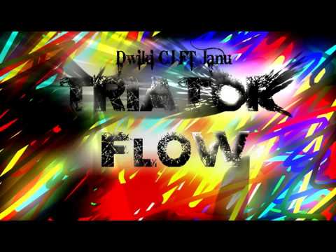 Dwiki CJ FT Janu - Traitor Flow