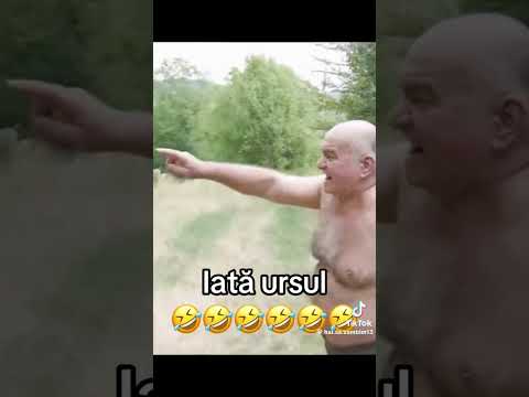 Vine ursul,iată ursul!#beer #urs