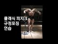클래식 피지크 규정포징 연습 영상