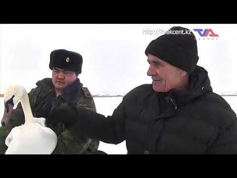 Выпуск программы “День” от 22 ноября 2022г.