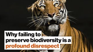 Why failing to preserve biodiversity is a profound disrespect | Susan Hockfield