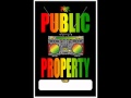 Public Property - Power Trip