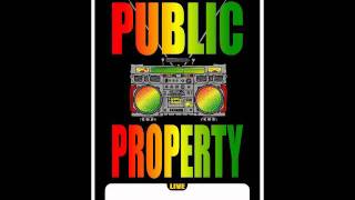 Public Property - Power Trip