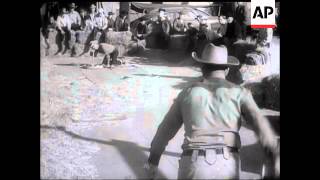 HORSESHOE THROWING