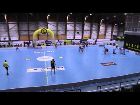 22.2.2014 Maalikooste Westend Indians - SPV 4-9