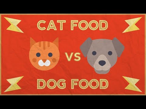 Does Cat Food Taste Better Than Dog Food? | Bone Appétit | Episode 16