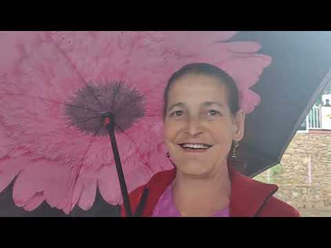 XXVIII Festival de Folia de Reis em Piedade dos gerais MG. (Parte - 2)