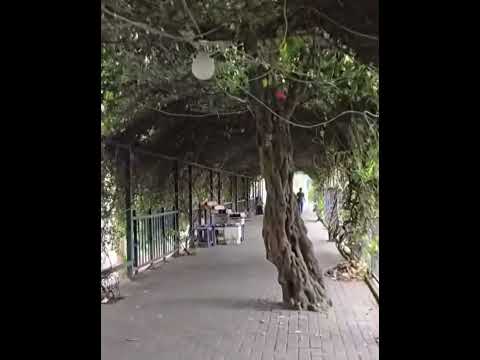 Welcome 🙏🏻 zakee #music #love #lovesong #song #lifeisbutadream