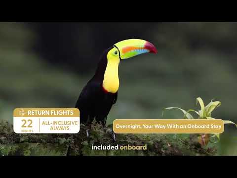 Thumbnail for My Cruises | Caribbean & Amazon Exploration | Explorations by Norwegian