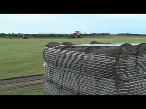 Gräsmatta Hammenhög Weibulls Horto AB