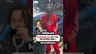 Bloodhound Q50 Just Took Another Rappers Chain😳 #bloodhoundq50