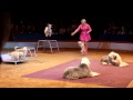 Big Apple Circus Cute Little Doggy