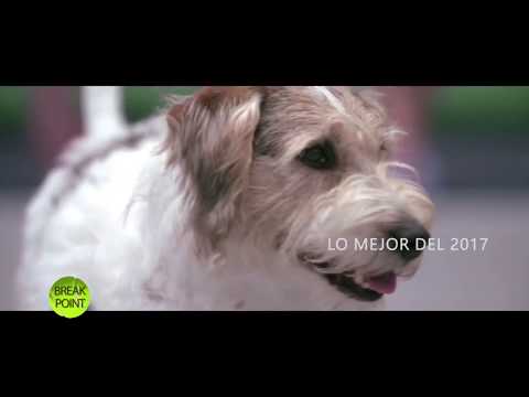 Lo mejor de Break Point/1 2017: Noticias, Paulina Franco & El mejor amigo del Tenis