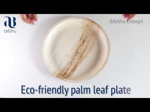 Eco-friendly Disposable Areca palm Leaf Round Plate 10 inch