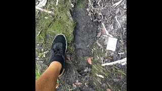 Bigfoot encounter, Missing campers in Florida National park, cover up