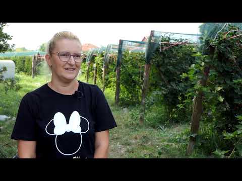 Domaćine kako radiš 23.08.2021. Kupina, Novo Selo, Sekurič