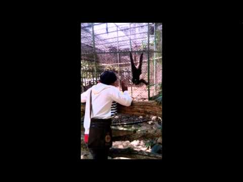 Arash feat. T-Pain 'Sex Love Rock N Roll (SLR)' (O