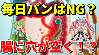 【腸漏れ】最新研究で発覚！毎日「○○」を食べる習慣が全身をボロボロにする衝撃の理由とは？【ずんだもん&四国めたん解説】