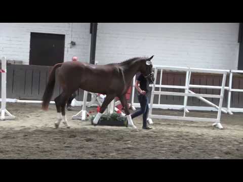 KN 19 v. Don Frederic - De Niro