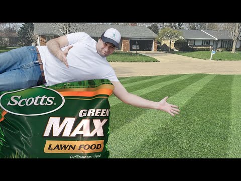 Scotts Green Max Lawn Food Fertilizer Review