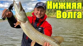 Ссылка