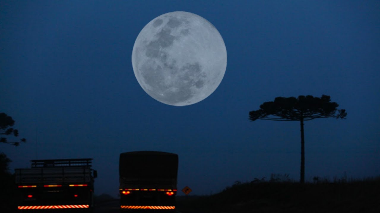 O CAMINHONEIRO E O LOBISOMEM DA ESTRADA 666