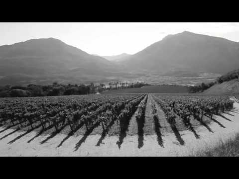 Ferrari Trentodoc Sparkling Wine