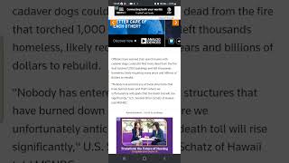Conspiracy Theory on Lahaina, Hawaii Wildfires Read With Me