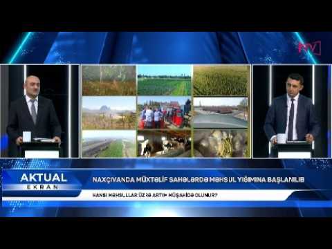 AKTUAL EKRAN: AQRAR SEKTORDA SAHİBKARLARIN İNKİŞAFI ÜÇÜN YENİ MEXANİZMLƏR NƏZƏRDƏ TUTULUB 30.06.2026