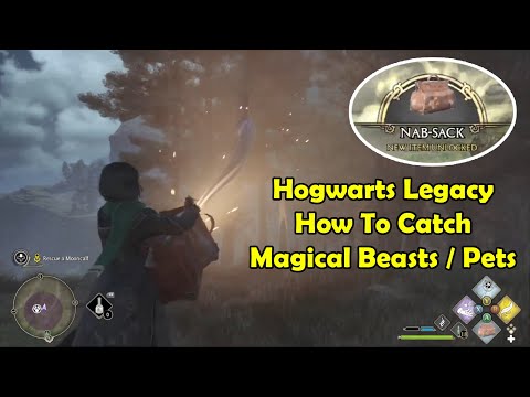 How To Catch Magical Beasts / Pets Hogwarts Legacy | Nab-Sack
