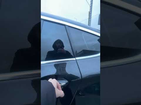 фото bmw 5 серии vi (f10/f11/f07) 0