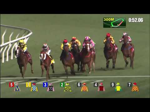 24/2/2021 (456) Sky Field - A Badel