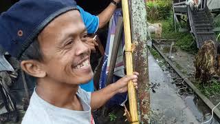 Download lagu Endek Alah ditarit kambin mp3