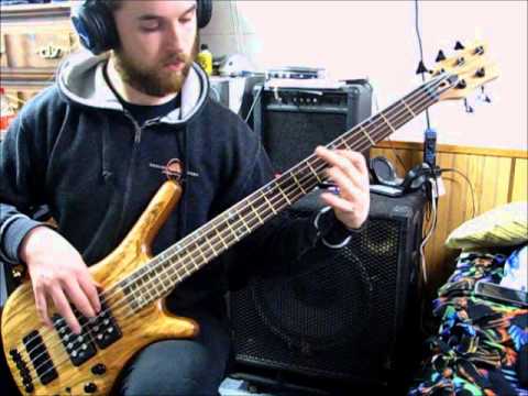 Decrepit Birth - Dimensions Intertwine on bass guitar